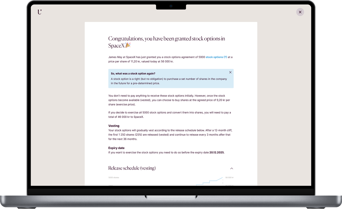 Grant stock option Grant stock option